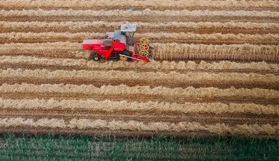 Alimentazione sostenibile